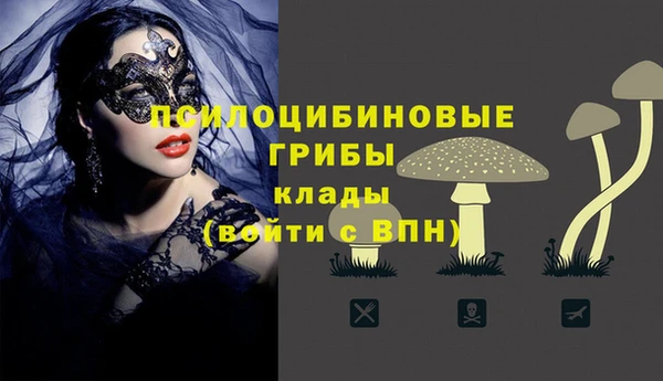 гашик Арсеньев