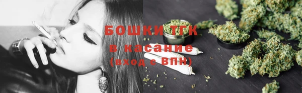 гашик Арсеньев