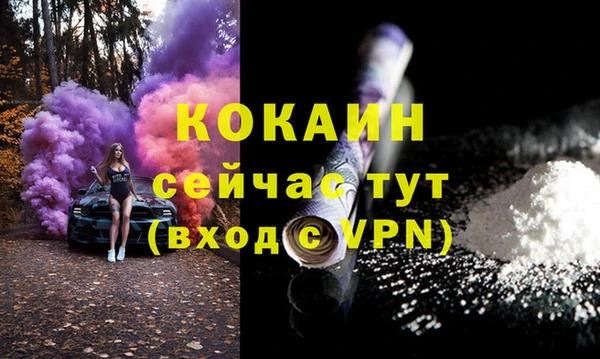 гашик Арсеньев