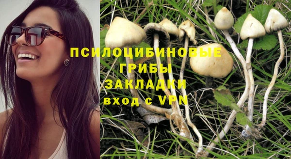 гашик Арсеньев