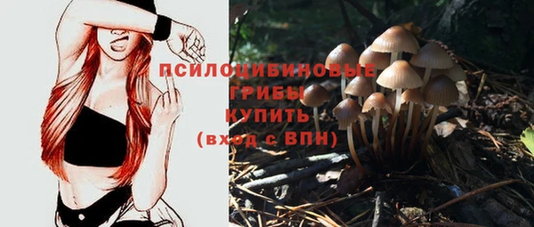 гашик Арсеньев