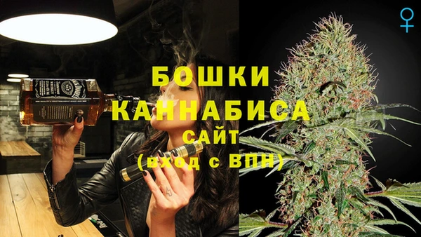 гашик Арсеньев