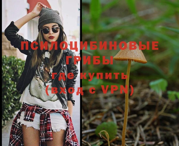 мет Армянск